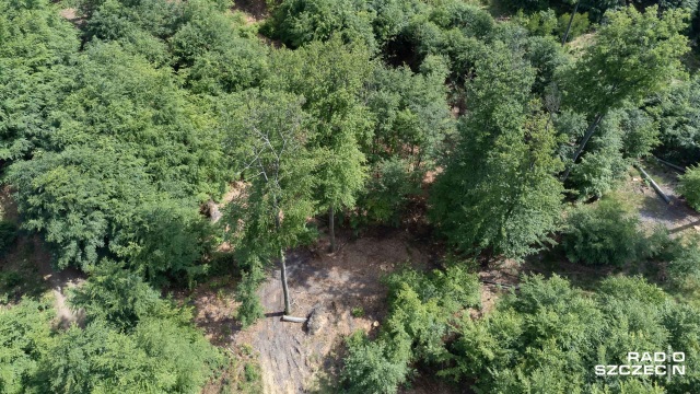 Witold Koss zostanie nowym Dyrektorem Generalnym Lasów Państwowych - w latach 2007-15 był dyrektorem regionalnym instytucji w Szczecinie, w kampanii wyborczej pojawił się na jednym z wieców lidera PO.