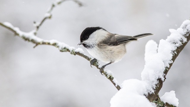 Najbliższa noc w całym kraju będzie bardzo mroźna. Miejscami temperatura może spaść do minus 23 stopni. Służby apelują o zwracanie szczególnej uwagi na osoby bezdomne i zwierzęta.