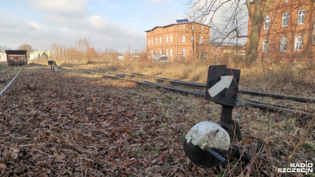 Sprzątanie stargardzkiej wąskotorówki