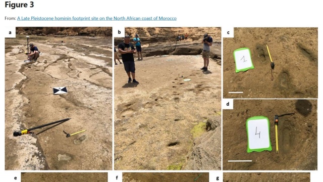 Archeolodzy w Maroku odkryli ślady ludzkich stóp sprzed około 100 tysięcy lat. Naukowcy oceniają, że to najstarsze takie ślady w Afryce Północnej i w basenie Morza Śródziemnego.