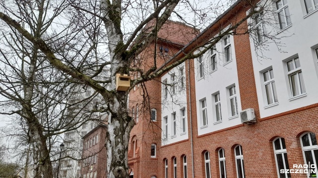15 budek dla różnych gatunków ptaków pojawiło się wokół świnoujskiego magistratu. Samorząd przy okazji remontu budynku Urzędu Miejskiego zlecił założenie na nim i okolicznych drzewach lęgowych budek.