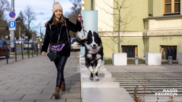 W tym tańcu partnerzy muszą rozumieć się bez słów... Wystarczy spojrzenie, gest lub - merdanie ogonem. To dog dance - nowa dyscyplina, która zagościła również w Szczecinie i zdobywa coraz więcej sympatyków.