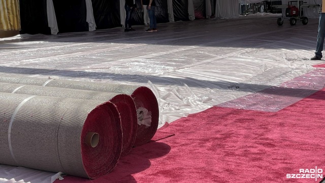 Filmowe Oscary już 96. raz zostaną rozdane w Hollywood w najbliższy weekend. Tym razem nie będzie niespodzianki w przypadku koloru słynnego dywanu, po którym przechadzać się będą gwiazdy udające się na uroczystość.