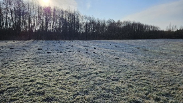 Instytut Meteorologii i Gospodarki Wodnej ostrzega przed przymrozkami w nocy. W północno-zachodniej Polsce mogą występować także słabe opady deszczu.