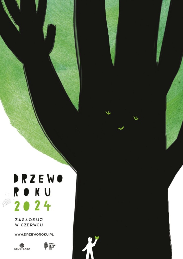 16 drzew walczy o tytuł najlepszego - wśród nich jedno z naszego regionu. Konkurs, już po raz 14., organizuje Klub Gaja.