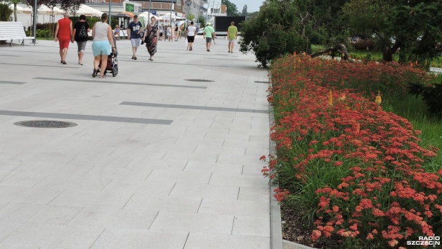 Ponad 100 tysięcy kolorowych kwiatów i traw będzie zdobić świnoujskie ulice. W mieście trwają letnie nasadzenia. Kwiaty pojawiły się już na promenadzie, sadzone są także w centrum - na placu Wolności.