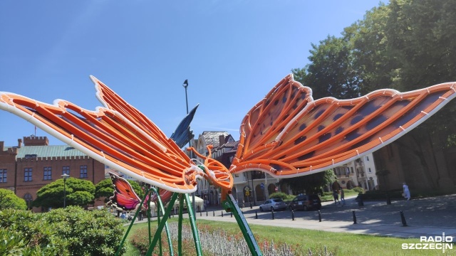 Motyle o wielkości jednego, a nawet dwóch metrów ozdobią latem Kołobrzeg. Chodzi o instalacje montowane właśnie na miejscowych ulicach.