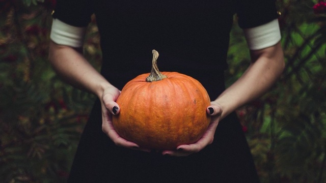 Jeden z najbardziej charakterystycznych symboli Halloween... skurczył się przez zmiany klimatu. Polscy rolnicy alarmują, że tegoroczne dynie są mniejsze nawet o jedną trzecią w stosunku do tych zbieranych rok temu.