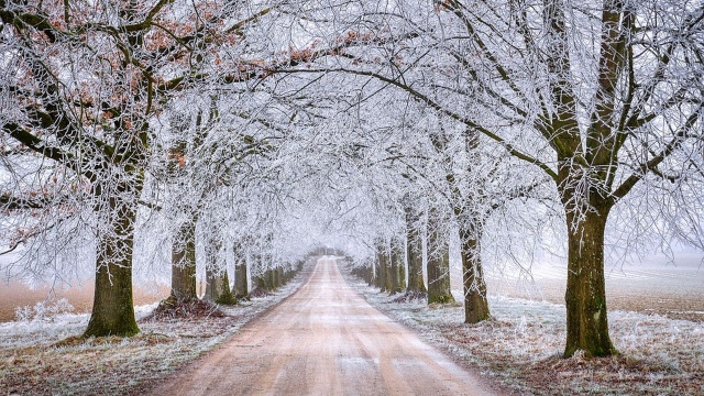 Instytut Meteorologii i Gospodarki Wodnej zapowiada załamanie pogody w całym kraju. Prognozowany jest deszcz, deszcz ze śniegiem oraz sam śnieg. Wystąpią burze, silny wiatr i oblodzenie.