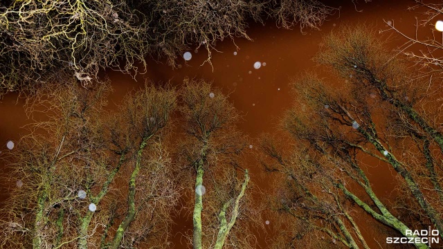 Instytut Meteorologii i Gospodarki Wodnej ostrzega przed silnym wiatrem na Wybrzeżu. Tam najbliższej nocy porywy będą zbliżały się do 75 kilometrów na godzinę.