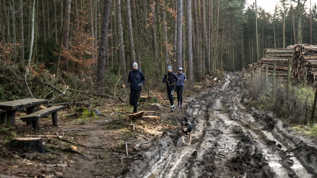 Błoto, koleiny, gałęzie i stosy drewna stanowią nie lada wyzwanie dla biegaczy i spacerowiczów w Lesie Arkońskim w Szczecinie.