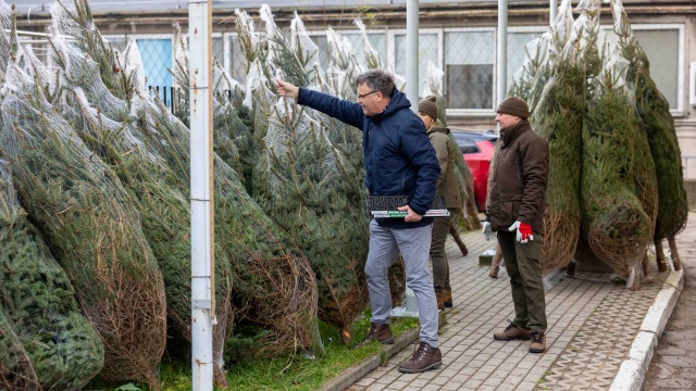 150 osób podzieliło się darem życia o poranku, a liczba ciągle rośnie. To w ramach 4. edycji akcji Choinka dla życia w Regionalnym Centrum Krwiodawstwa i Krwiolecznictwa w Szczecinie.