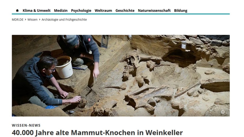 Pierwsze badania wskazały, że szczątki mogą mieć nawet 40 tysięcy lat. źródło: https://www.mdr.de/wissen/archaeologie-fruehgeschichte/mammut-knochen-fund-weinkeller-oesterreich-100.html