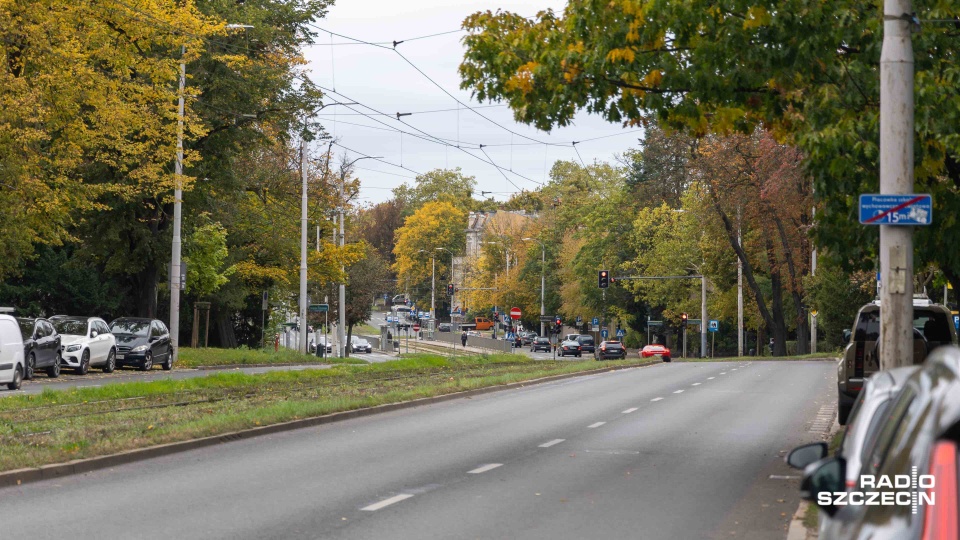 Nowe drzewa pojawią się w Szczecinie [WIDEO, ZDJĘCIA]