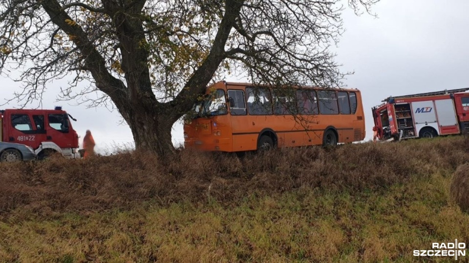 Autobus szkolny wcześniej pod lupą drogówki, teraz uderzył w drzewo