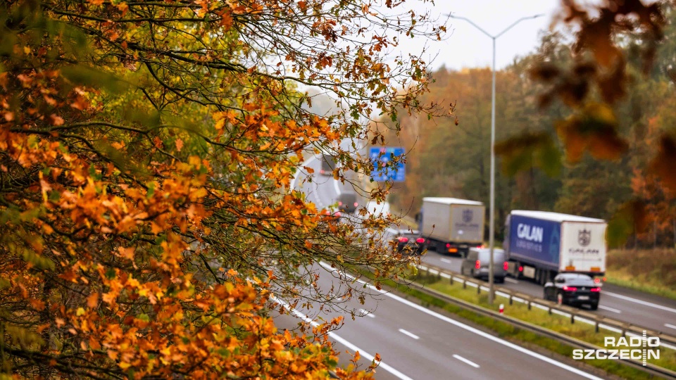 Fot. Robert Stachnik [Radio Szczecin]