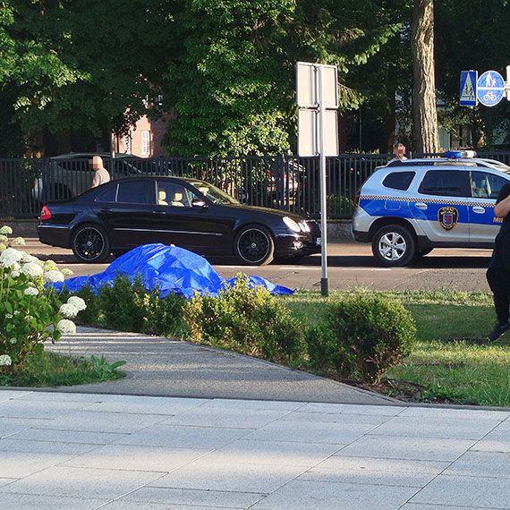 Koń, który ciągnął dorożkę w Świnoujściu padł w sobotę po południu przy nadmorskiej promenadzie - informuje portal iswinoujscie.pl.