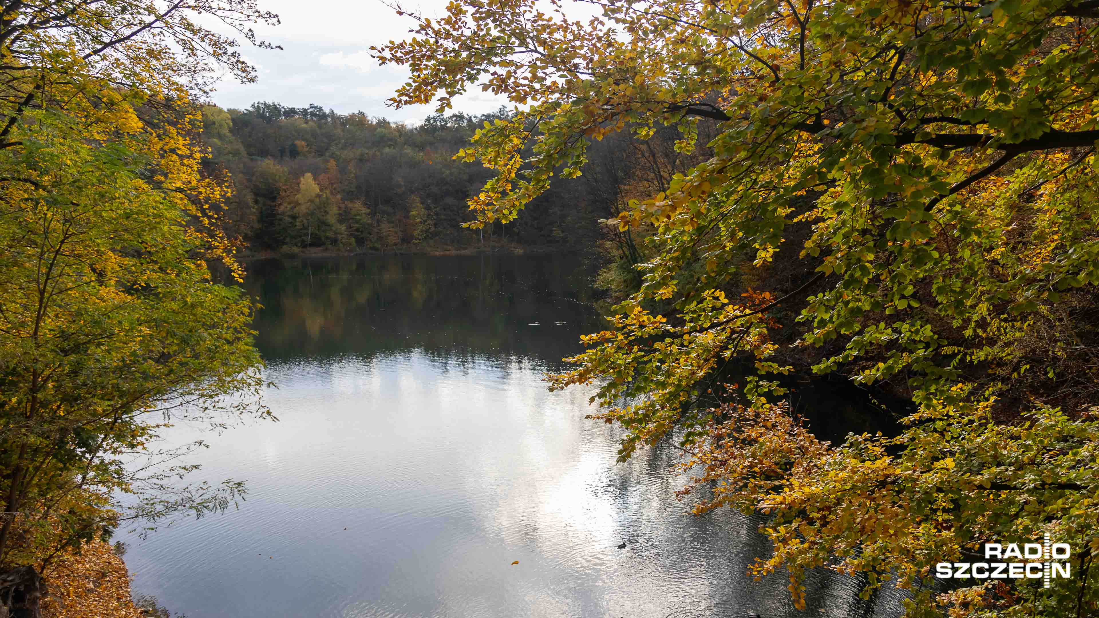 Zwiedzanie podziemi, sala owadów i gry terenowe dla najmłodszych. Nad Jeziorem Szmaragdowym odbędzie się w niedzielę rodzinny piknik pod hasłem Puszcza na błysk.