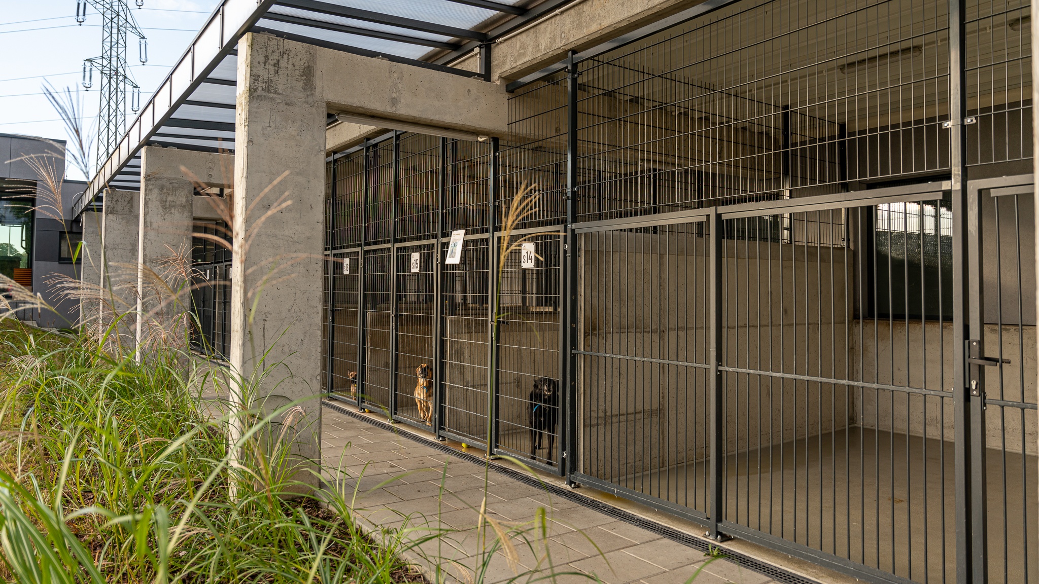 Wszczęcia pilnej kontroli w Schronisku dla Bezdomnych Zwierząt w Szczecinie domagają się radni Prawa i Sprawiedliwości.