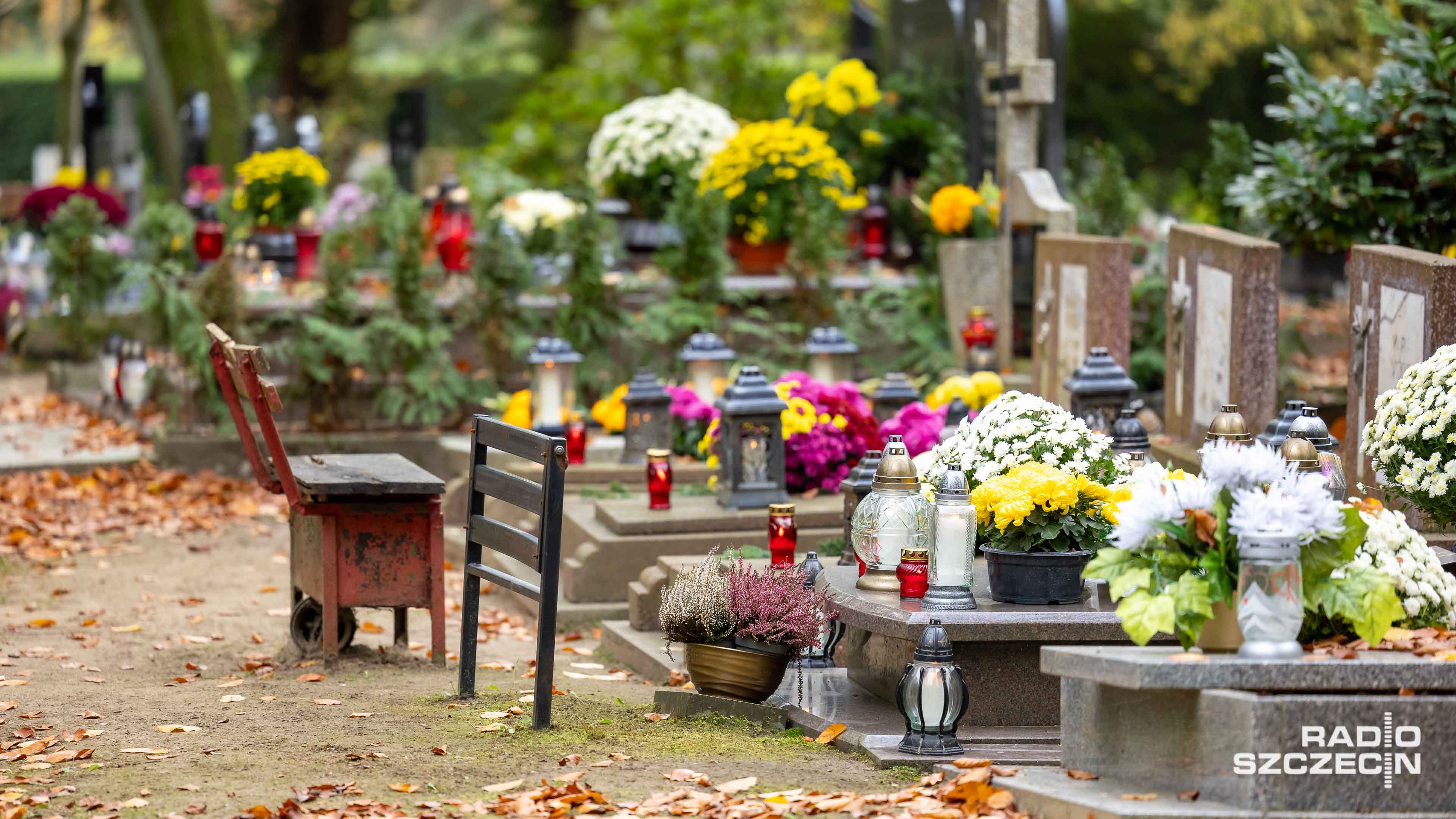 Dzień Wszystkich Świętych zbliża się wielkimi krokami, więc szczeciński Cmentarz Centralny jest coraz bardziej oblegany przez mieszkańców. To nekropolia rozległa na tyle, że łatwo się na niej zgubić. Dlatego nieocenioną pomocą są internetowa wyszukiwarka grobów oraz specjalna aplikacja na urządzenia mobilne.