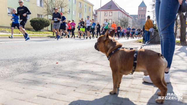 Fot. Robert Stachnik [Radio Szczecin] Ponad tysiąc biegaczy opanowało centrum Pyrzyc [WIDEO, ZDJĘCIA]