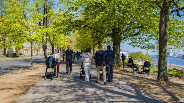 Fot. Wojciech Ochrymiuk [Radio Szczecin] Po śniadaniu na spacerek... "Żeby był lepszy apetyt przy obiedzie" [WIDEO, ZDJĘCIA]