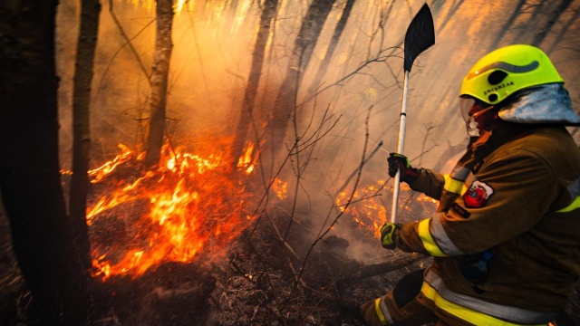 Fot. mł. asp. Łukasz Rutkowski / Państwowa Straż Pożarna Pożar w Biebrzańskim Parku Narodowym [ZDJĘCIA]