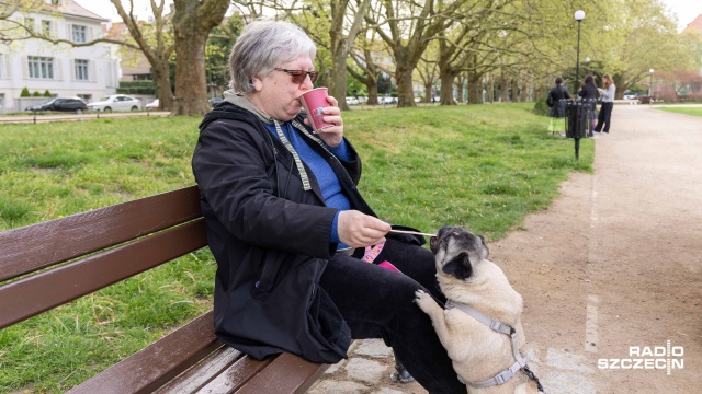 Fot. Robert Stachnik [Radio Szczecin] Café Rower może zniknąć z Jasnych Błoni... [WIDEO, ZDJĘCIA]