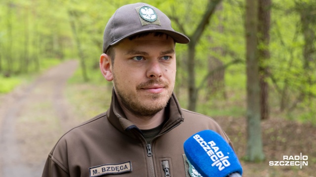 Fot. Robert Stachnik [Radio Szczecin] W lasach rośnie zagrożenie pożarowe [WIDEO, ZDJĘCIA]