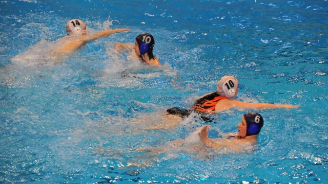 Fot. Adam Dziarmaga Sukcesy młodych piłkarzy wodnych Arkonii Szczecin [ZDJĘCIA]