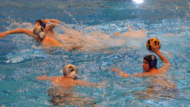 Fot. Adam Dziarmaga Sukcesy młodych piłkarzy wodnych Arkonii Szczecin [ZDJĘCIA]