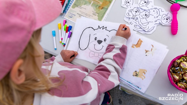 Fot. Robert Stachnik [Radio Szczecin] Zbiórka dla bezdomnych zwierząt na Jasnych Błoniach [WIDEO, ZDJĘCIA]