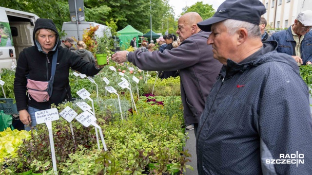 Fot. Robert Stachnik [Radio Szczecin] Wały Chrobrego znowu rozkwitły. Ruszył kiermasz [WIDEO, ZDJĘCIA]
