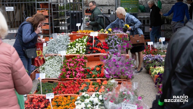 Fot. Robert Stachnik [Radio Szczecin] Wały Chrobrego znowu rozkwitły. Ruszył kiermasz [WIDEO, ZDJĘCIA]