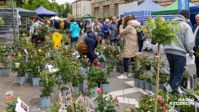 Fot. Robert Stachnik [Radio Szczecin] Wały Chrobrego znowu rozkwitły. Ruszył kiermasz [WIDEO, ZDJĘCIA]