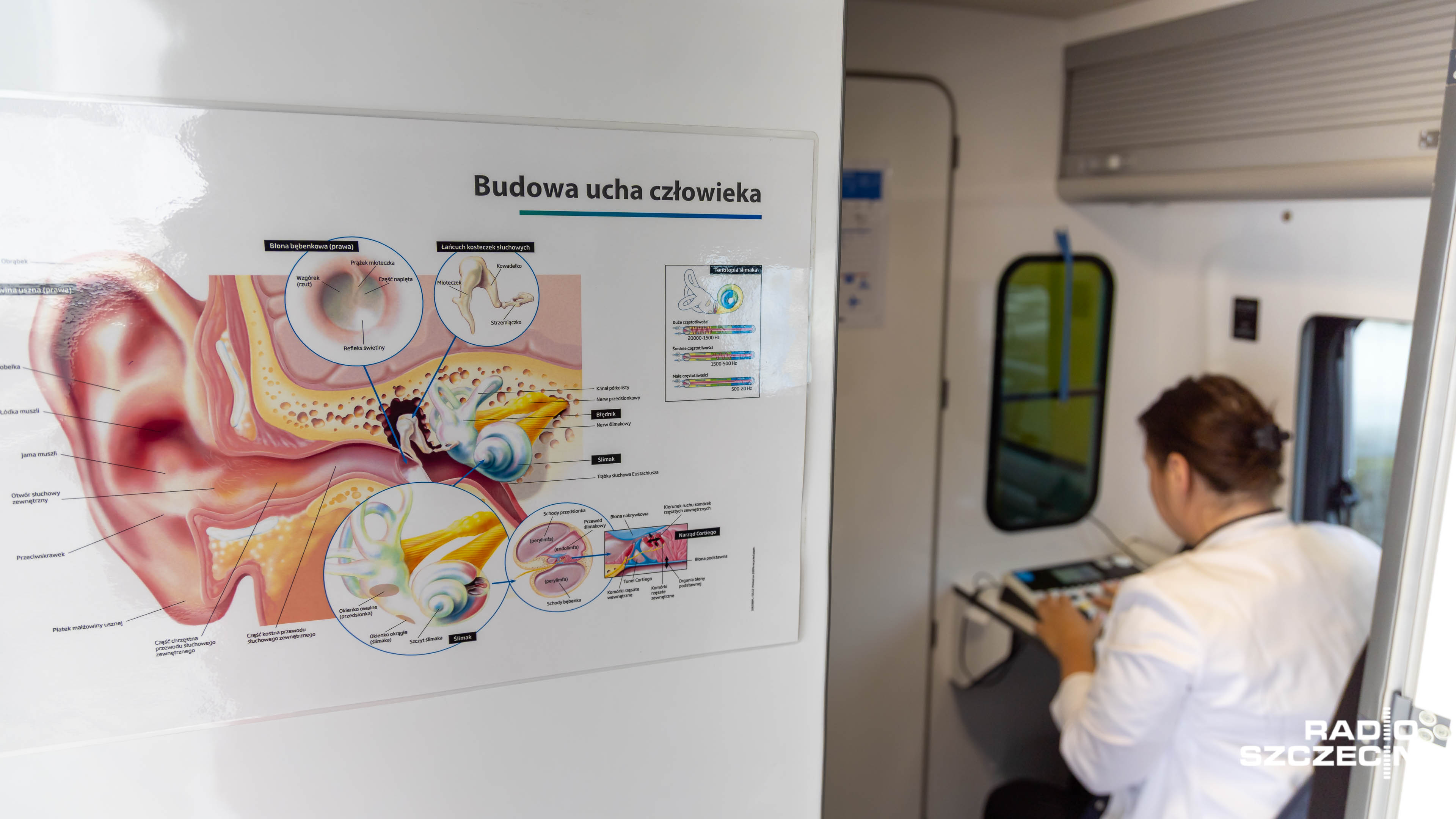 Kolejny dzień bezpłatnych badań słuchu w powiecie polickim.