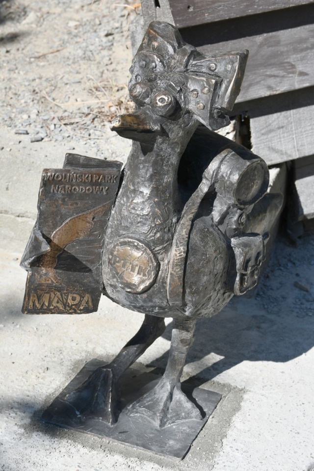 Fot. facebook.com/burmistrzmiedzyzdrojow Międzyzdrojskie mewy tworzą szlak turystyczny