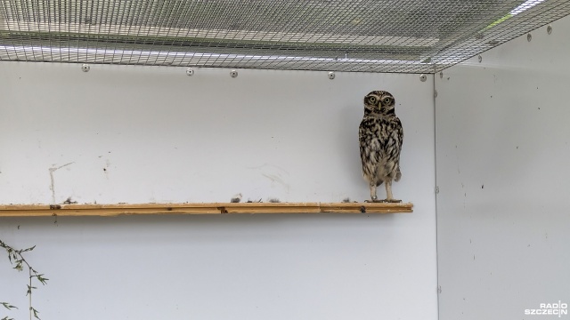 Fot. Maciej Papke [Radio Szczecin] Jeżykowo niedługo się powiększy, ale jest też pewien apel [WIDEO, ZDJĘCIA]