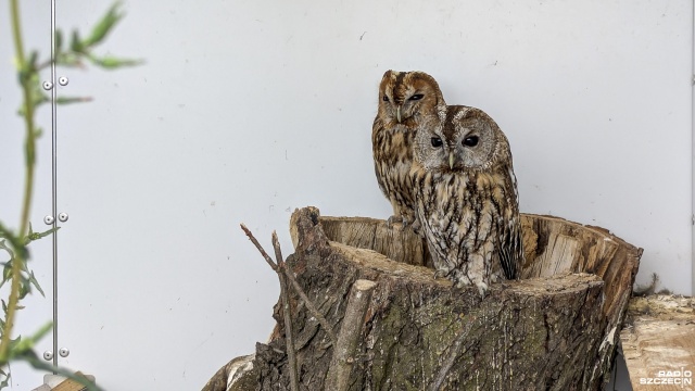 Fot. Maciej Papke [Radio Szczecin] Jeżykowo niedługo się powiększy, ale jest też pewien apel [WIDEO, ZDJĘCIA]