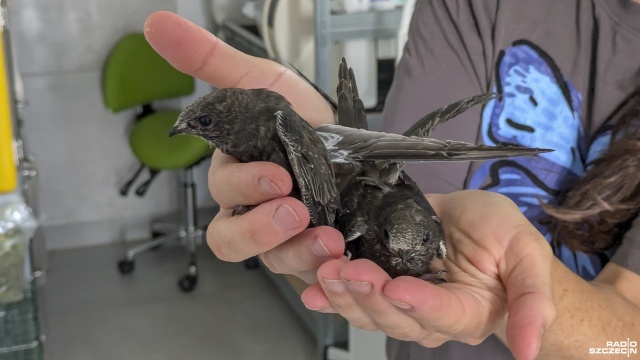 Fot. Maciej Papke [Radio Szczecin] Jeżykowo niedługo się powiększy, ale jest też pewien apel [WIDEO, ZDJĘCIA]