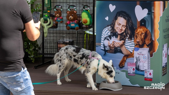 Fot. Robert Stachnik [Radio Szczecin] Wakacje z czworonogiem. O czym pamiętać? [WIDEO, ZDJĘCIA]