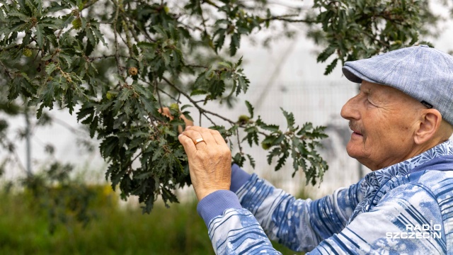 Fot. Robert Stachnik [Radio Szczecin] Spacer szlakiem szczecińskiej zieleni [WIDEO, ZDJĘCIA]