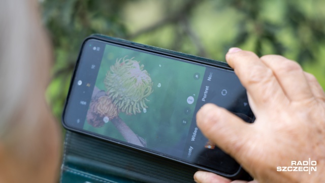 Fot. Robert Stachnik [Radio Szczecin] Spacer szlakiem szczecińskiej zieleni [WIDEO, ZDJĘCIA]