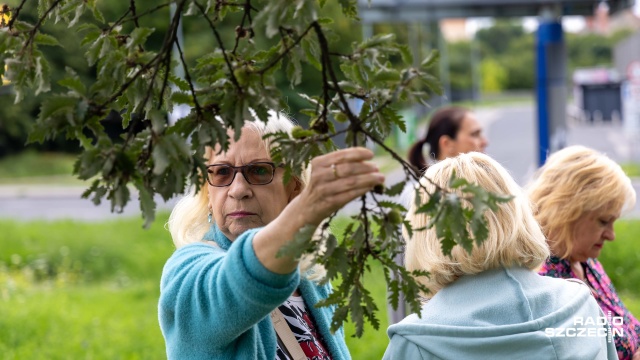 Fot. Robert Stachnik [Radio Szczecin] Spacer szlakiem szczecińskiej zieleni [WIDEO, ZDJĘCIA]