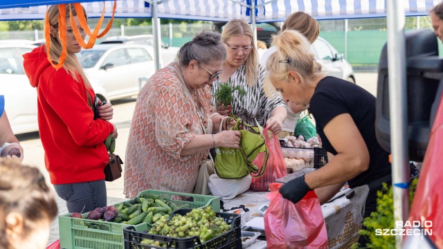 Fot. Robert Stachnik [Radio Szczecin] Bazar na Bronowickiej kusi zdrowiem i ekologią [WIDEO, ZDJĘCIA]