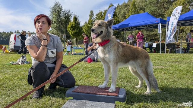 Fot. Maciej Papke [Radio Szczecin] "Dzień Psiaka i Kociaka" - festyn na rzecz bezdomnych zwierzaków w Dobrej [WIDEO, ZDJECIA]