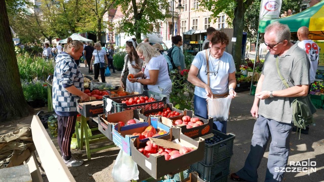 Fot. Robert Stachnik [Radio Szczecin] Jesień za rogiem, ale szczecinianie pamiętają o swoich ogrodach [WIDEO, ZDJĘCIA]