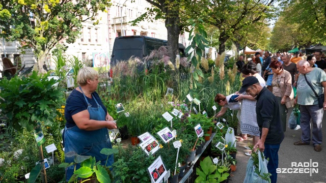 Fot. Robert Stachnik [Radio Szczecin] Jesień za rogiem, ale szczecinianie pamiętają o swoich ogrodach [WIDEO, ZDJĘCIA]