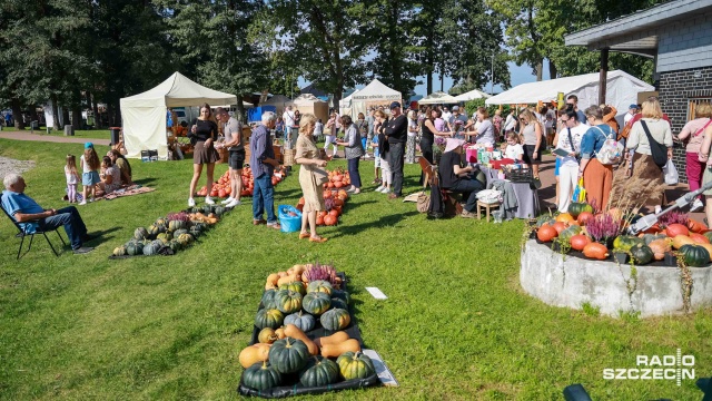 Fot. Robert Stachnik [Radio Szczecin] Święto dyni nad Miedwiem [WIDEO, ZDJĘCIA]