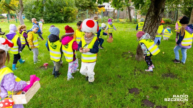Fot. Robert Stachnik [Radio Szczecin] Przedszkolaki ruszyły szukać grzybów i uczyć się je rozróżniać [WIDEO, ZDJĘCIA]